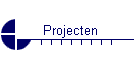 Projecten