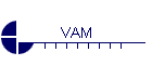 VAM